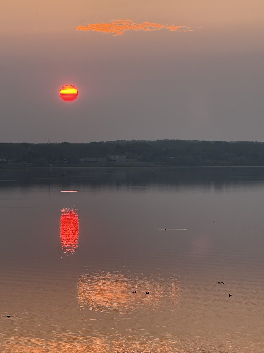 SmaielDanny's tweet image. Slight haze makes for beautiful sunsets #llb #sunsetlovers