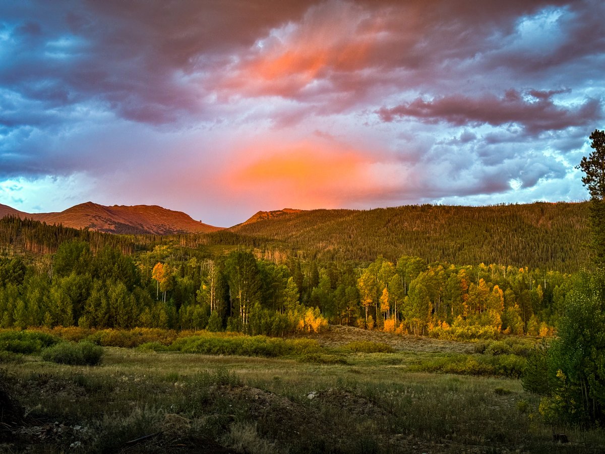 Fall foliage update! The leaves have started changing, but it's not too late to catch the fall colors for yourself. The next few weeks will be ideal for leaf peeping here at the Ranch!
