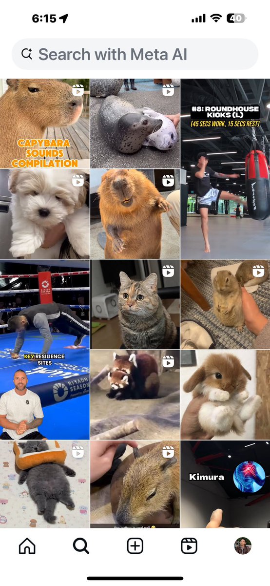 My current IG feed looks about right…