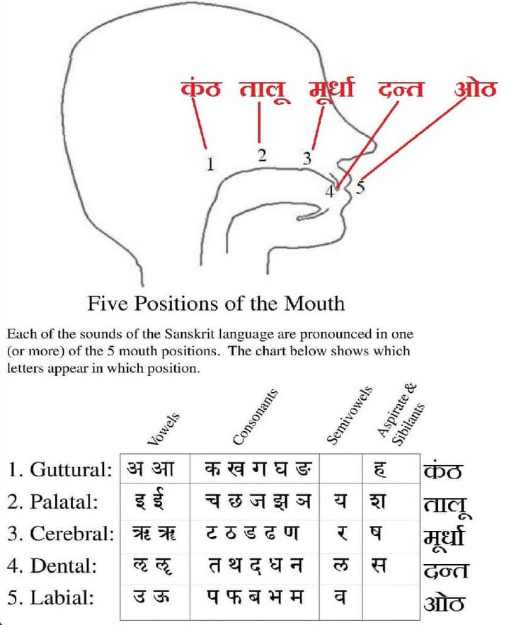 Its_Me_Jasraj's tweet image. 🧵 Thread: The Science of Sanskrit Sounds – The 5 Divine Mouth Positions 

Did you know every Sanskrit letter is not random, but produced from exact 5 positions in the mouth?
This is why Sanskrit is called a perfect, scientific &amp;amp; divine language.
Let’s decode👇