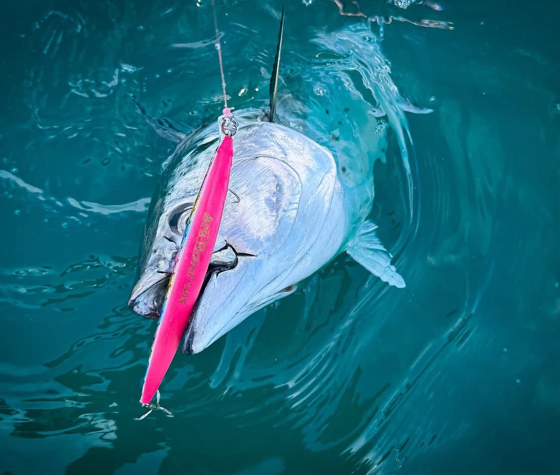 palms_global's tweet photo. Boat Fishing with Ark Rover in Italy ๐ฎ๐น
Lure: Ark Rover 140S
#palmsfishing #mactuna #fishingitaly #bluespringsitaly @bluespringsitaly @palms_japan https://t.co/969hHBbWWH