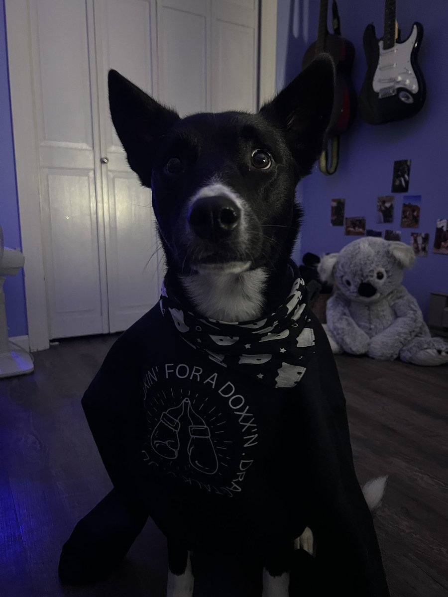 RipVanWinkle tweet media