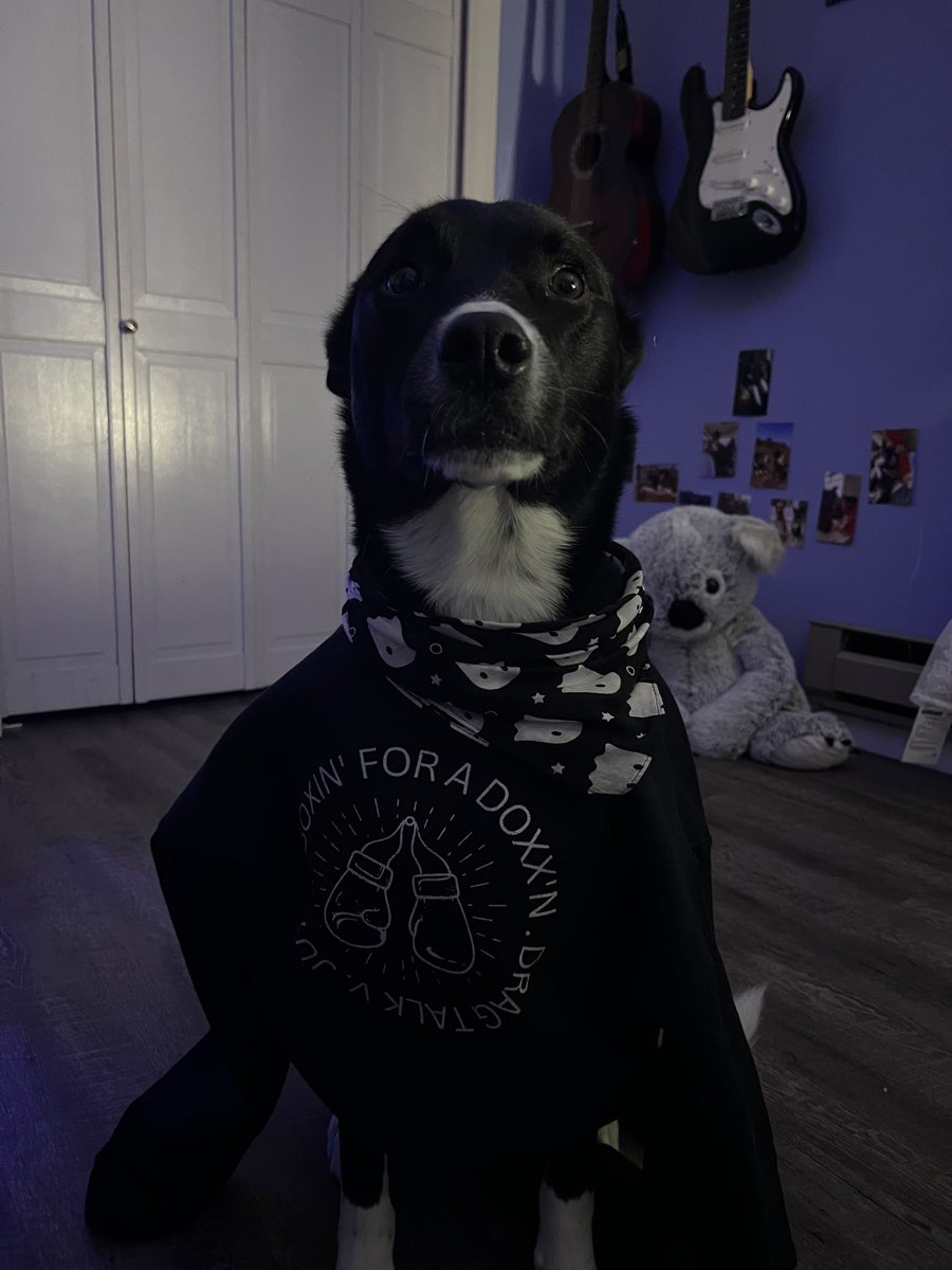 RipVanWinkle tweet media