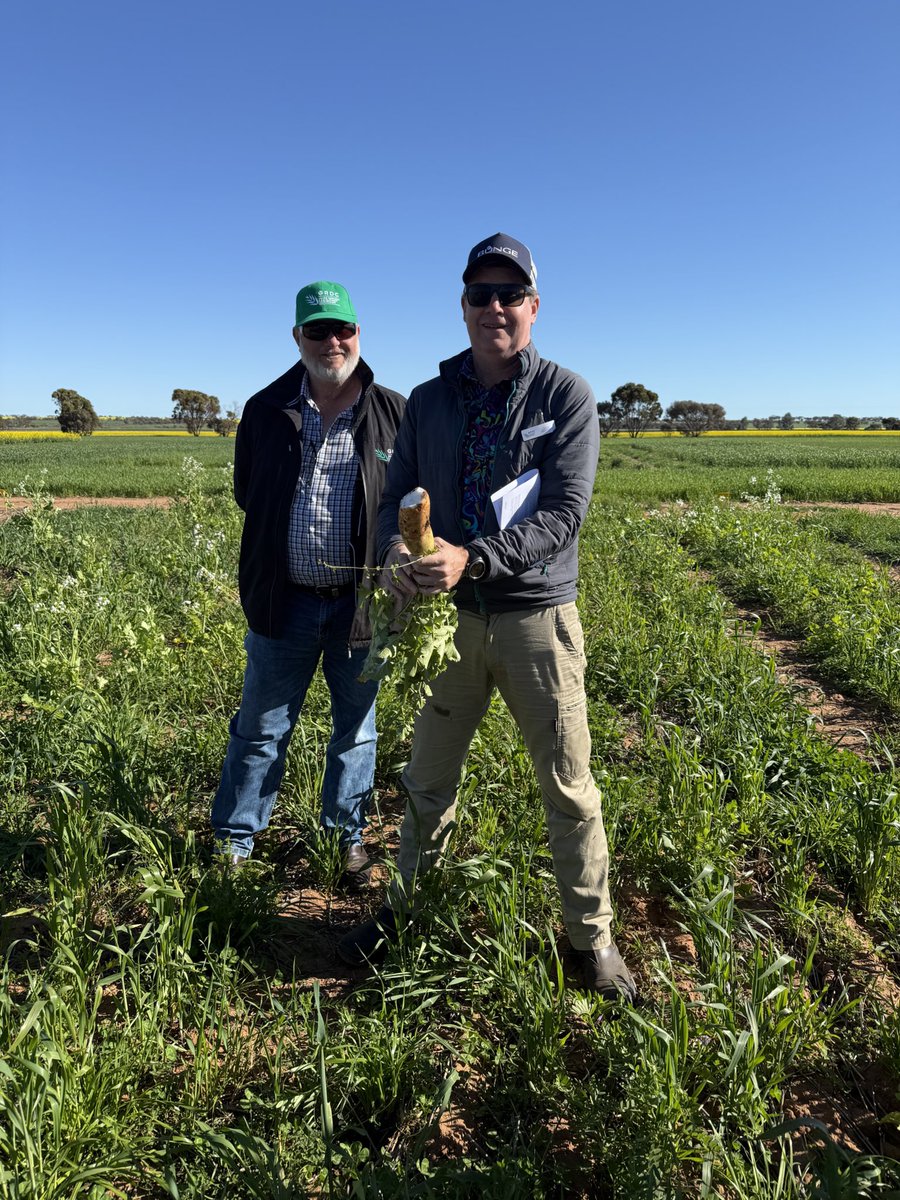 GRDCWest's tweet photo. A big thank you to @DPIRDbroadacre for hosting @GRDCWest spring panel tour participants at the research site this morning. Great looking #farmingsystems trials and discussion around long term stubble burning trials. https://t.co/mdDOMy7PKv