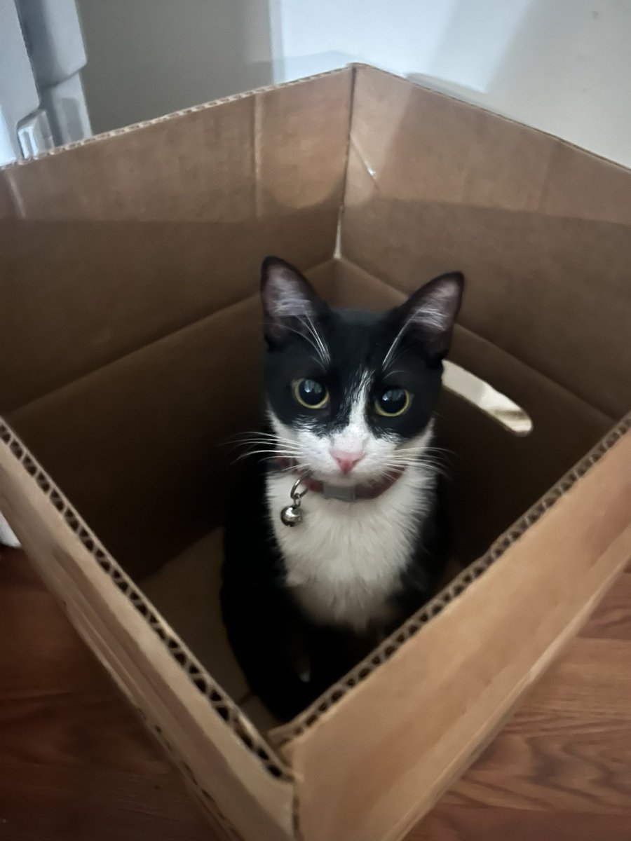 ‏ًً (@jonathvns) on Twitter photo 