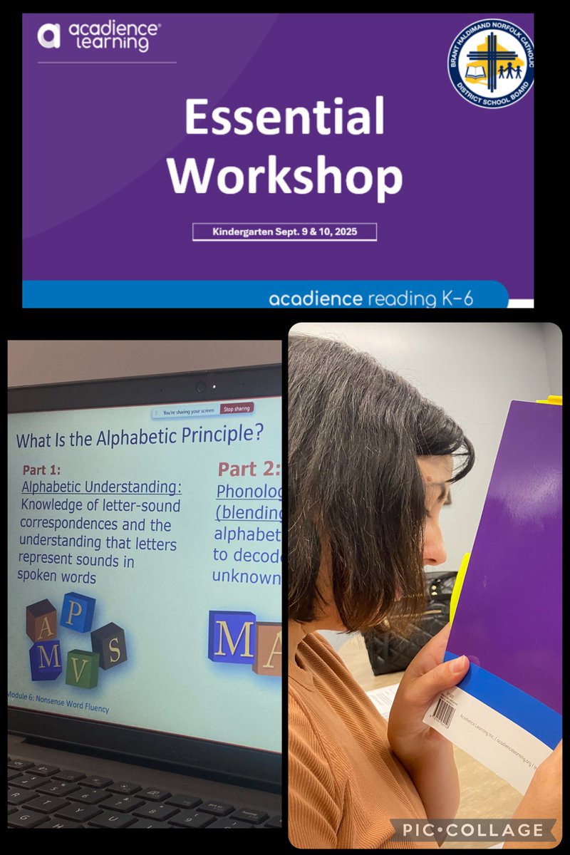 A pleasure training new <a href="/bhncdsb/">BHNCDSB</a> Kindergarten educators on the Acadience screener.