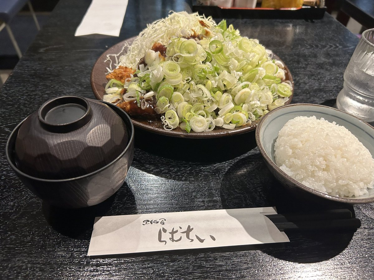 hal_eme_'s tweet photo. 味噌カツ美味しいけど重い。
年のせい？ https://t.co/KNf1u7Gvwx