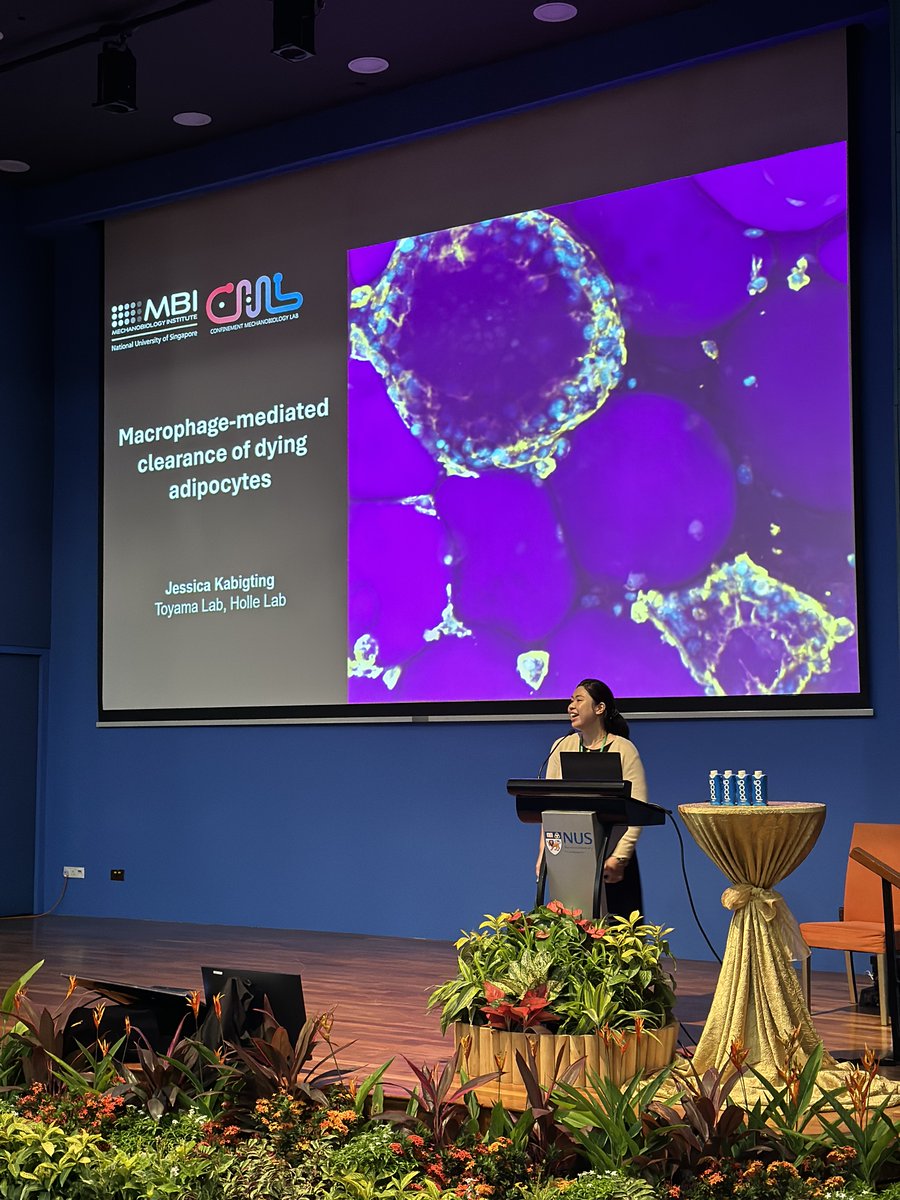 Mechanobiology Institute tweet media