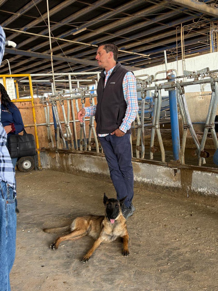 El día de hoy lo disfrutamos por que hicimos lo que mas nos gusta, compartir nuestra experiencia en agronomía. 
Recibimos a integrantes de la Unión de Cooperativas de Consumo Alteñas, todos ellos profesionales de la nutrición en bovinos leche interesados en el sistema VMS