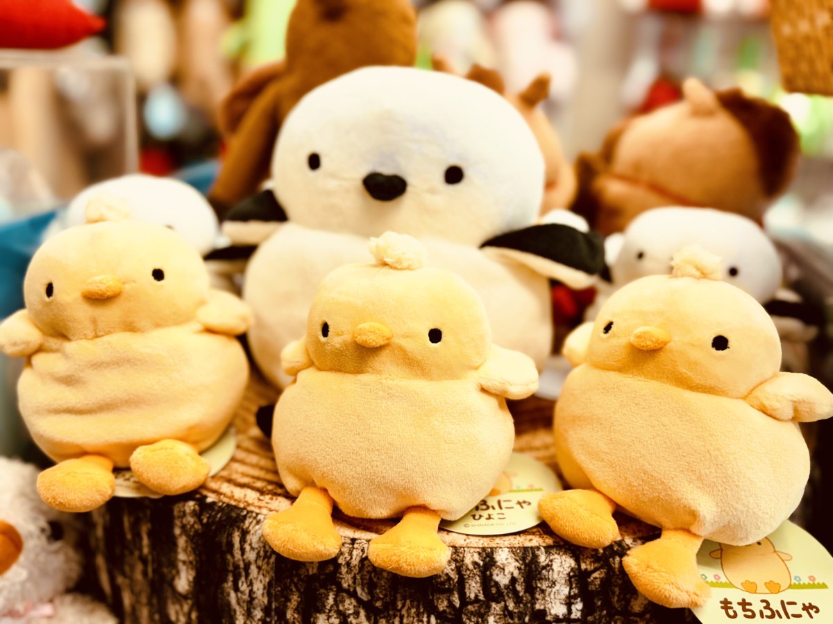 新商品入荷のお知らせ】 本日、新商品が入荷しました✨️ ◎もちふにゃ
