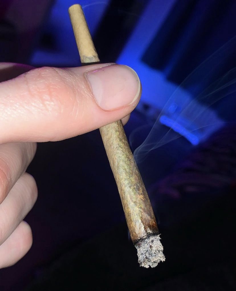 _StonersRUs_'s tweet image. How often do you smoke weed? 💨