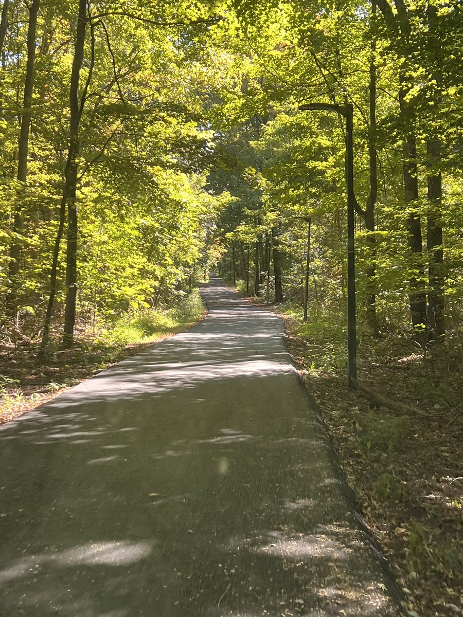 BallparkDad tweet media