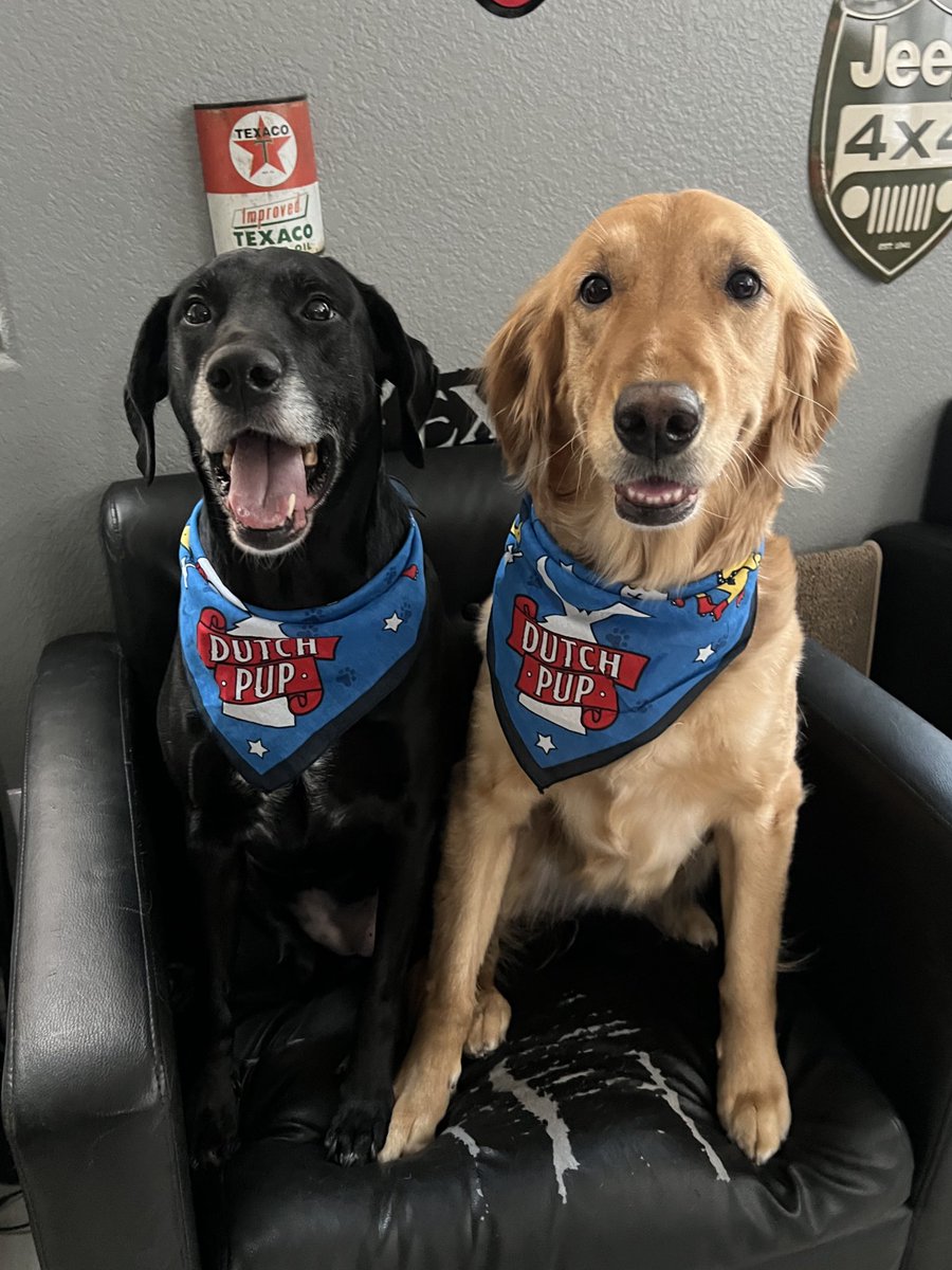 Mackenzie 🌻 tweet media