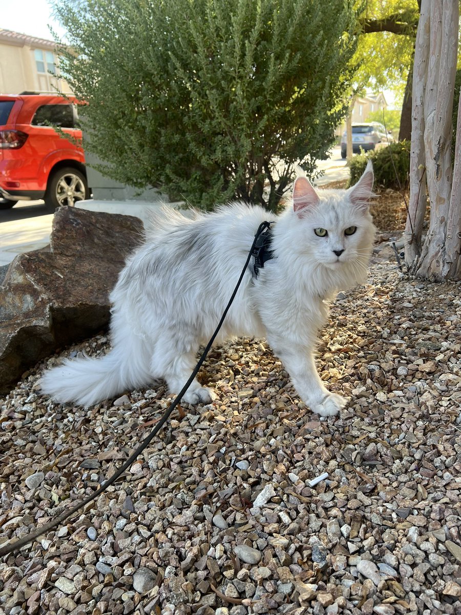 Mackenzie 🌻 tweet media