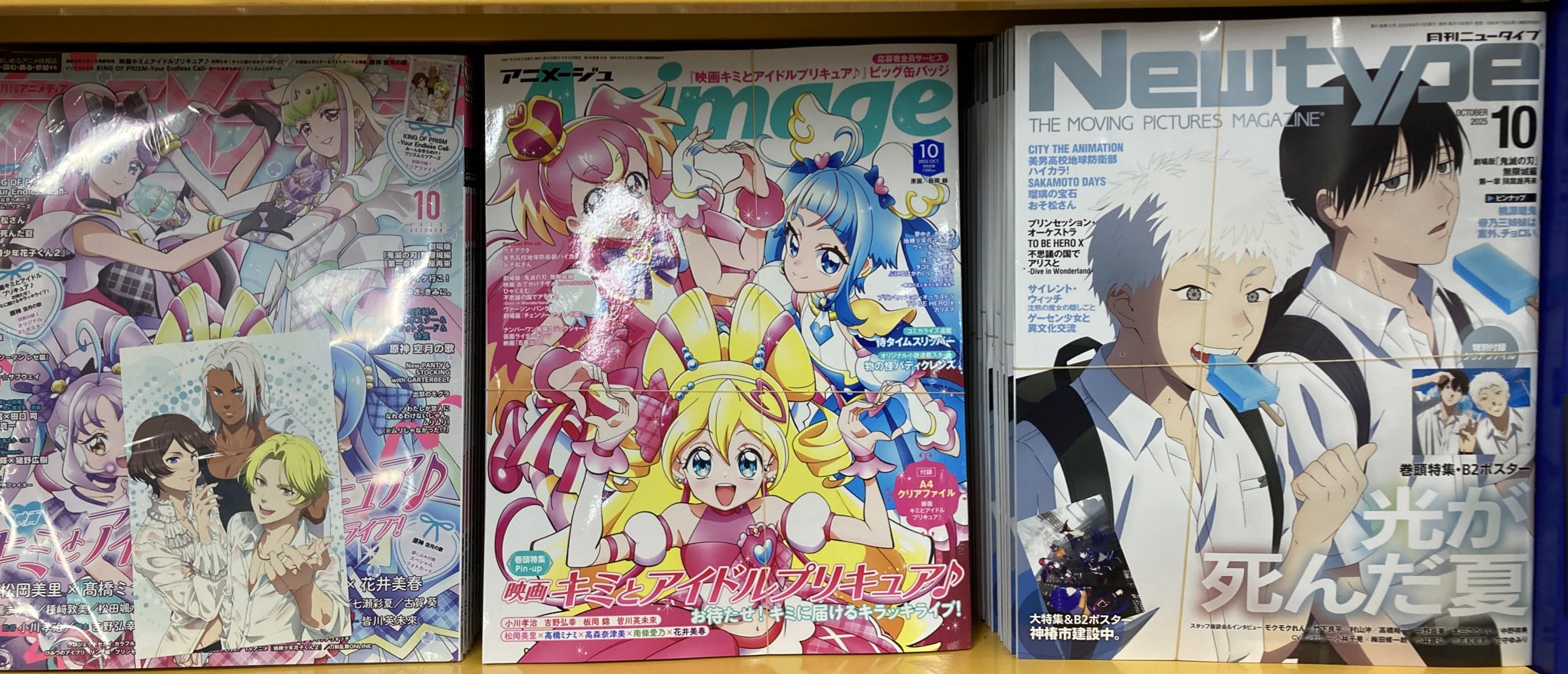 アニメージュ ニュータイプ 90年代 アニメージュ ニュータイプ 90年代 アニメ雑誌 21冊 90年代