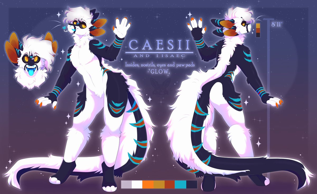 Caesii@TFF tweet media