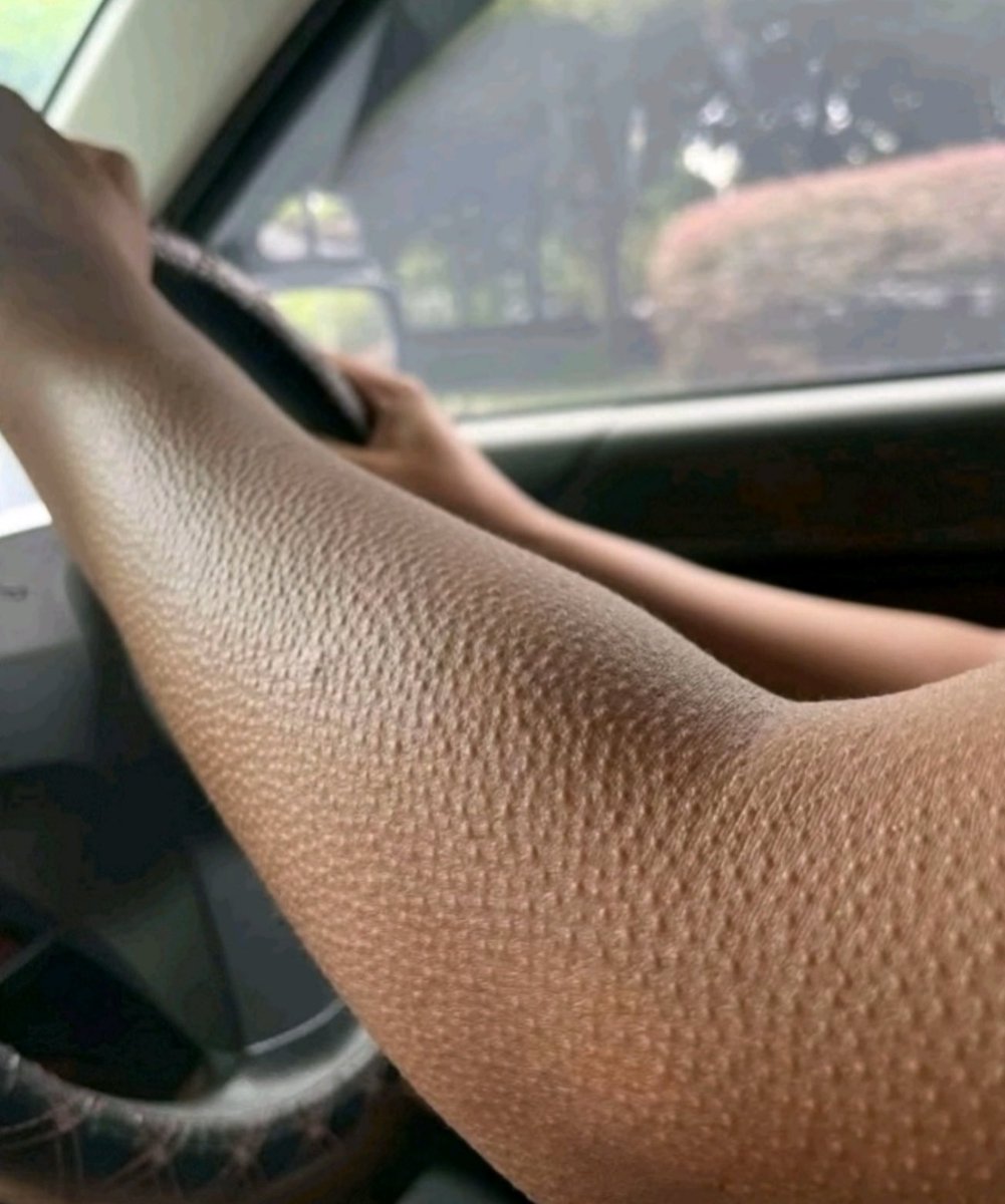 คือมันเปนไร บอกเตนใส่แซงทั้งตัวเพราะแบรนด์ส่งให้แต่ได้ลุคพี่ชิต ส่วนเมนเขาซื้อเองแต่ลุคยุนิเซ้ก คือ55555555555555555555555555 พี่ขนลุ้กเลยค่ะอันนี้ สิกสักสิดสิกสักหลวงปู่ช่วยล่วยช่วยด้วย555555555555555555555555555555555555555555