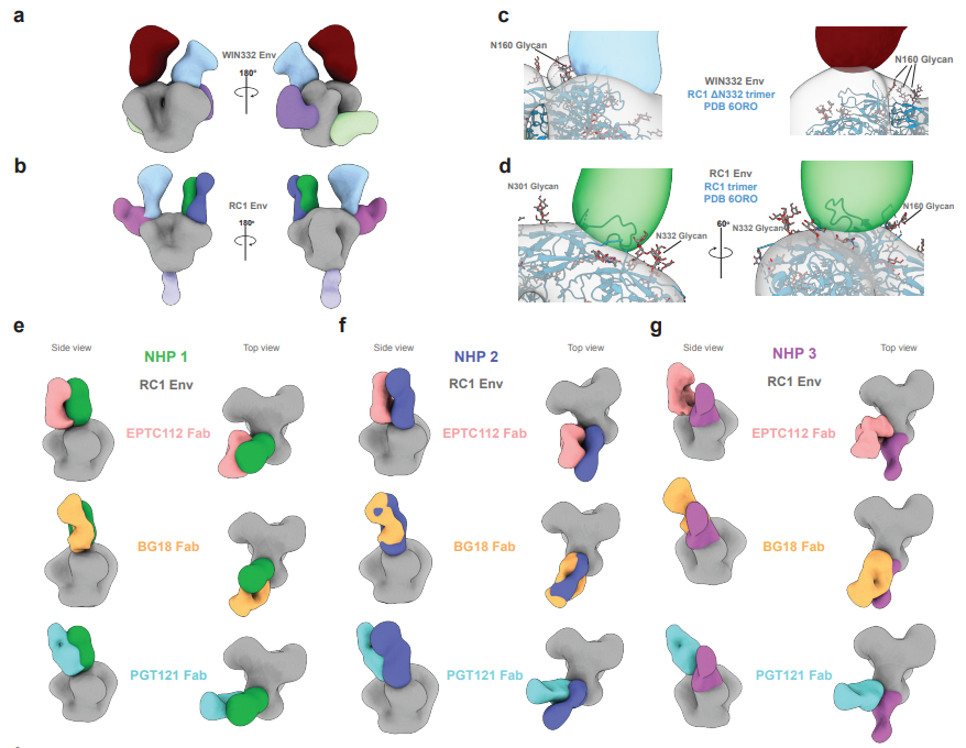 Waggoner Lab tweet media