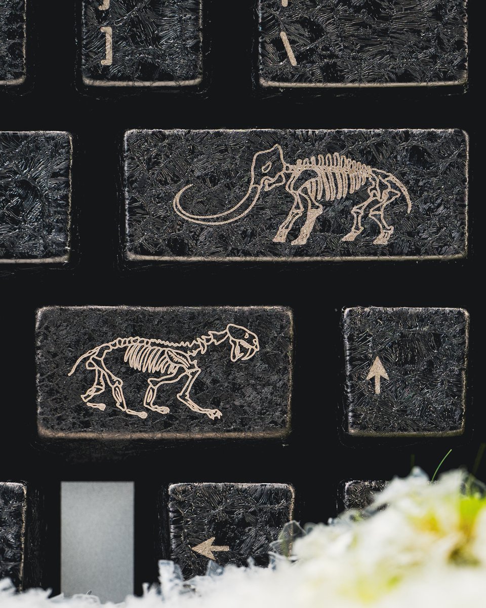 awekeys's tweet image. Inspired by the epic Ice Age, the keycap for the Wild Ice series captures prehistoric vibes, turning your setup into a frosty adventure. Who&apos;s ready to go to discover an ice age fossil site?

Kickstarter Link: kickstarter.com/projects/aweke…

#awekeys #MechanicalKeyboards #Keycaps…