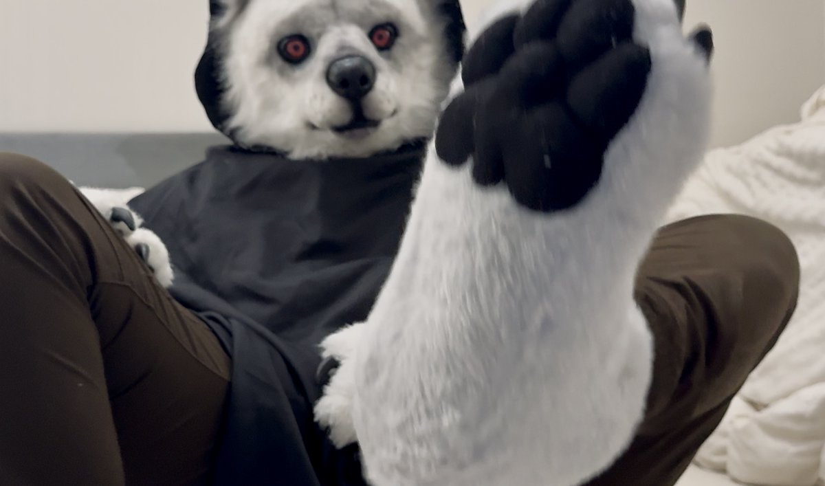 Did you miss these paws?? 🐾 🐺