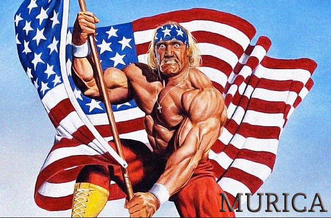 Murica (@murica_lol) on Twitter photo 