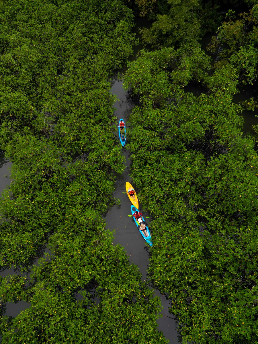 bongoutdoors's tweet photo. ¿Qué hacer en la ciudad de David, Chiriquí? 🇵🇦

✅ https://t.co/6aBe9cgzd5
✅ +507 60909741

#davidchiriquí #panama #turismo #traveler #quehacerenpanama #quehacerenchiriqui #turismoenpanama #adventureschiriqui #adventurespanama #adventuretime #AdventureAwaits https://t.co/7YJOzIK53f