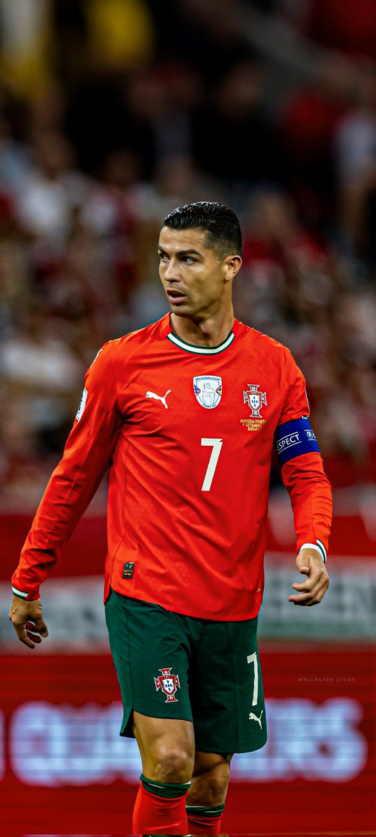 wallpaper store tweet media