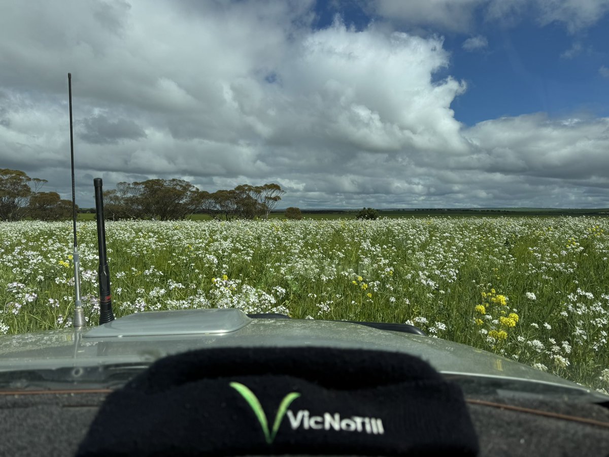 Damien Elson tweet media