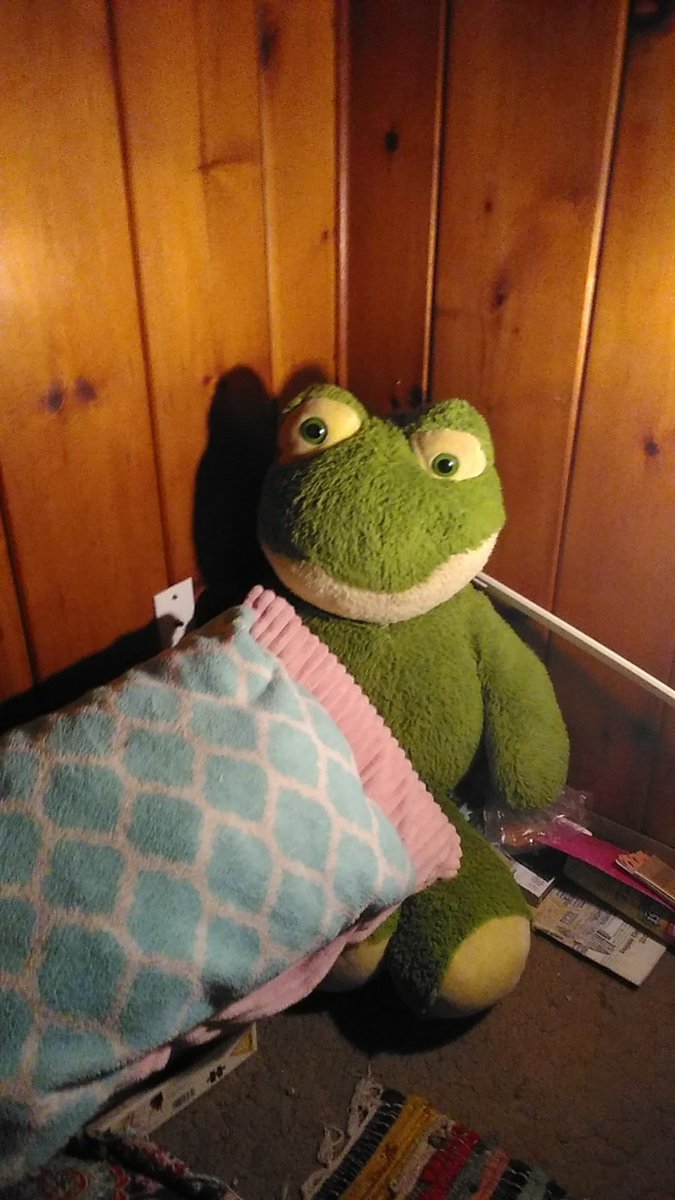 Giant frog in the corner of my room: Hey Ali! What has 3 or 4 eyes and somtimes flies!

Me: I dont even know bro

Mart spade : So I was at work and a bag of insulation ripped open upon my head and I had to take a cold shower for 2 hours 

😂