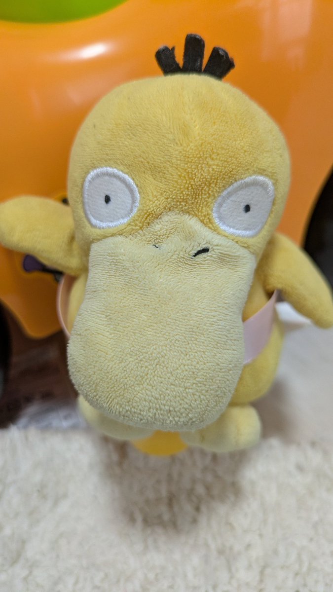あぐわこのおうちには、たくさんうきわダックがあそびにきてくれたぐわ♪
ふたりあおいこがいて、さむいとおもっておみそしるあげたぐわー!
なんといろちがいだったぐわ🤣
でもおみそしるはしっかりのんでいったぐわ🐣💙
#コダック