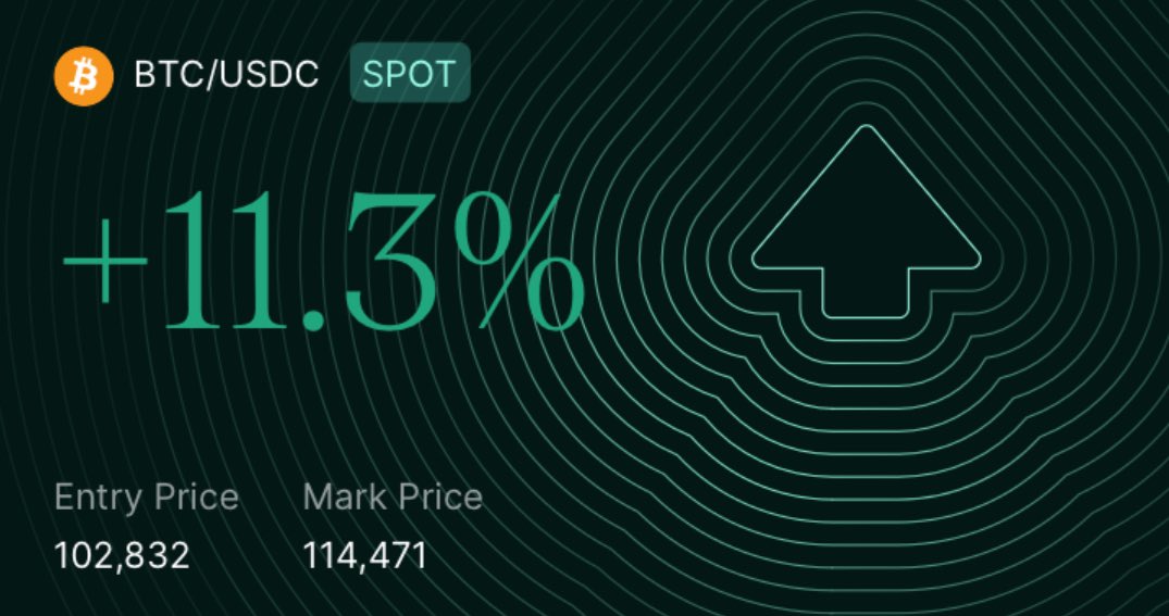 thinkingblob's tweet image. things are going to get messy going into q4 so ~90% nw allocated into spot now

80% of gains made in final 20% of cycle

btc, sol, hype

lets get it