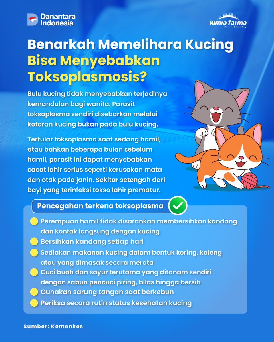 kimiafarmaind's tweet photo. #SahabatKaef pernah dengar anggapan bahwa memelihara kucing bisa menyebabkan toksoplasma dan bikin wanita sulit hamil?
Tapi, benarkah kucing adalah sumber utama infeksi toksoplasma? Bagaimana pencegahan penularannya? Yuk simak info berikut
#infokesehatan #toksoplasma #kucing https://t.co/7RwCBLp9QO