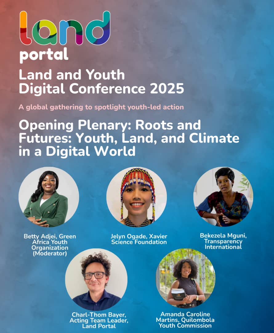 Beke.Mguni tweet media