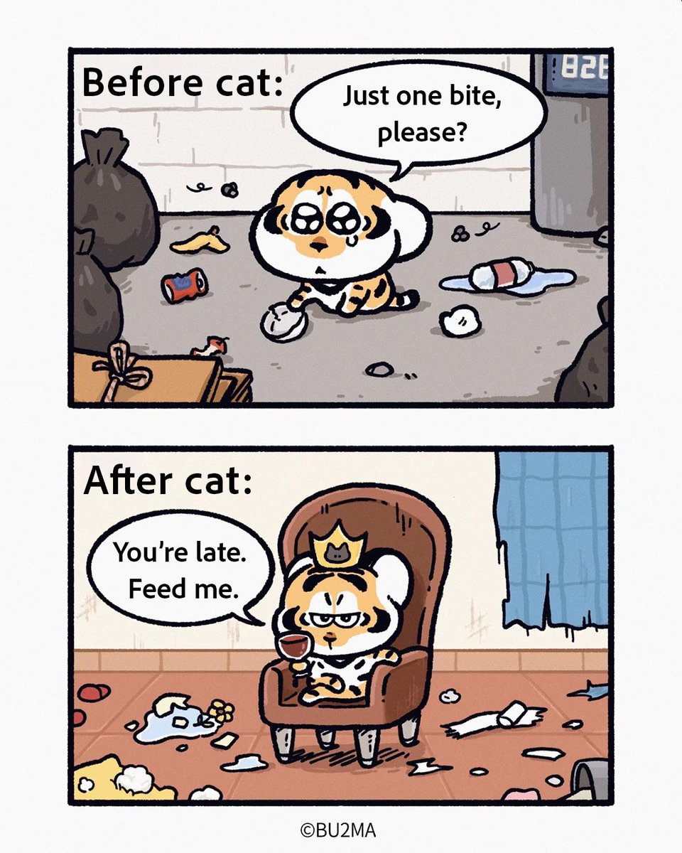 Did I adopt a cat… or did I just find myself a new master?

#AlexandertheFatTiger #CatMaster #relatable #catlover