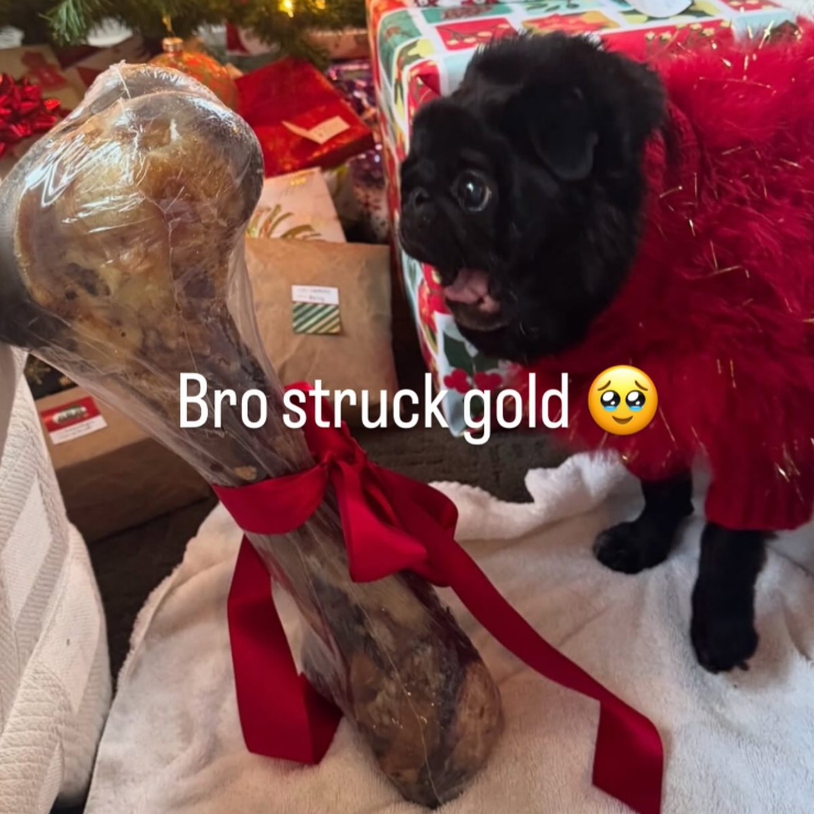 Shitpost 2077 (@shitpost_2077) on Twitter photo 