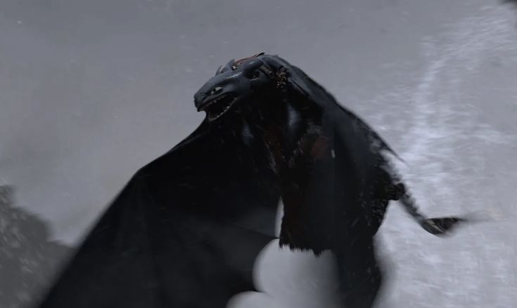 Toothless tweet media