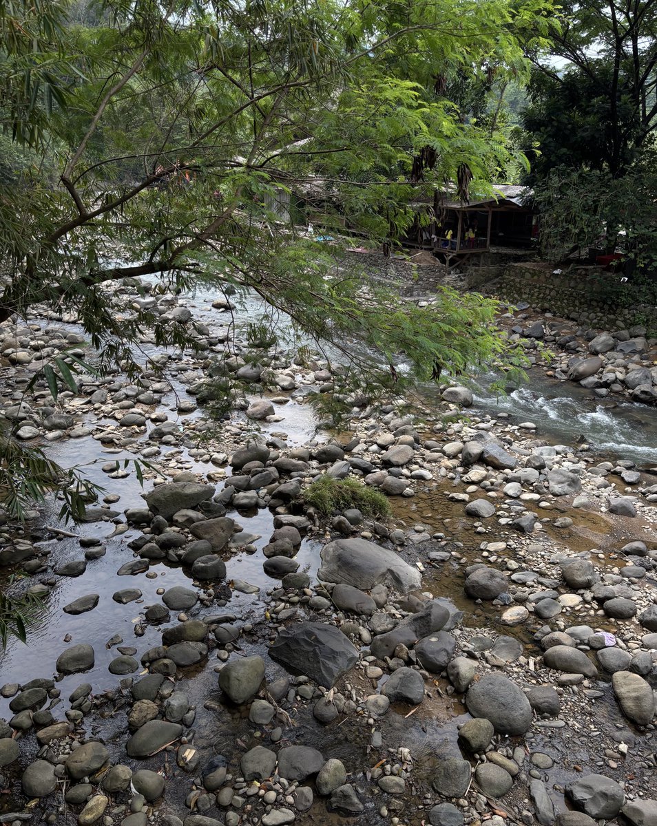 refutabilitas's tweet image. when life gets so overwhelming you need to confront a body of water about it