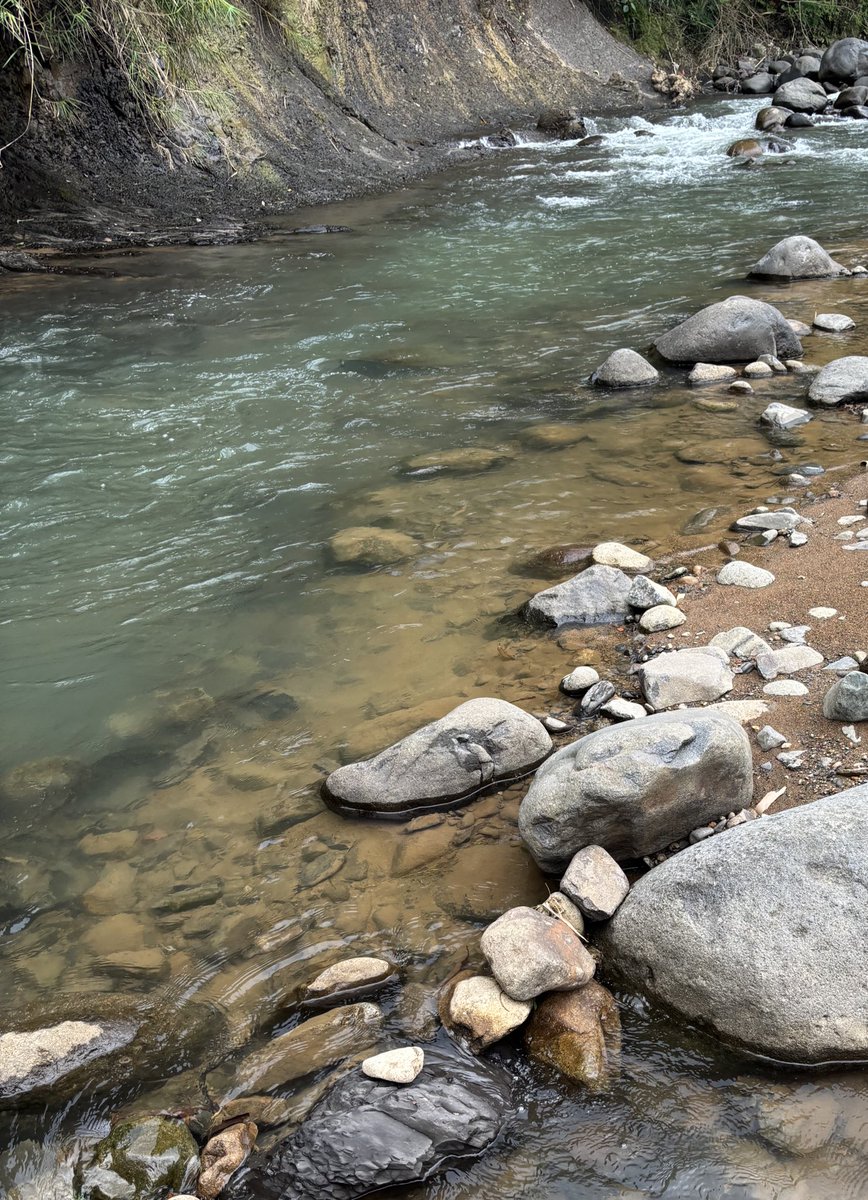 refutabilitas's tweet image. when life gets so overwhelming you need to confront a body of water about it