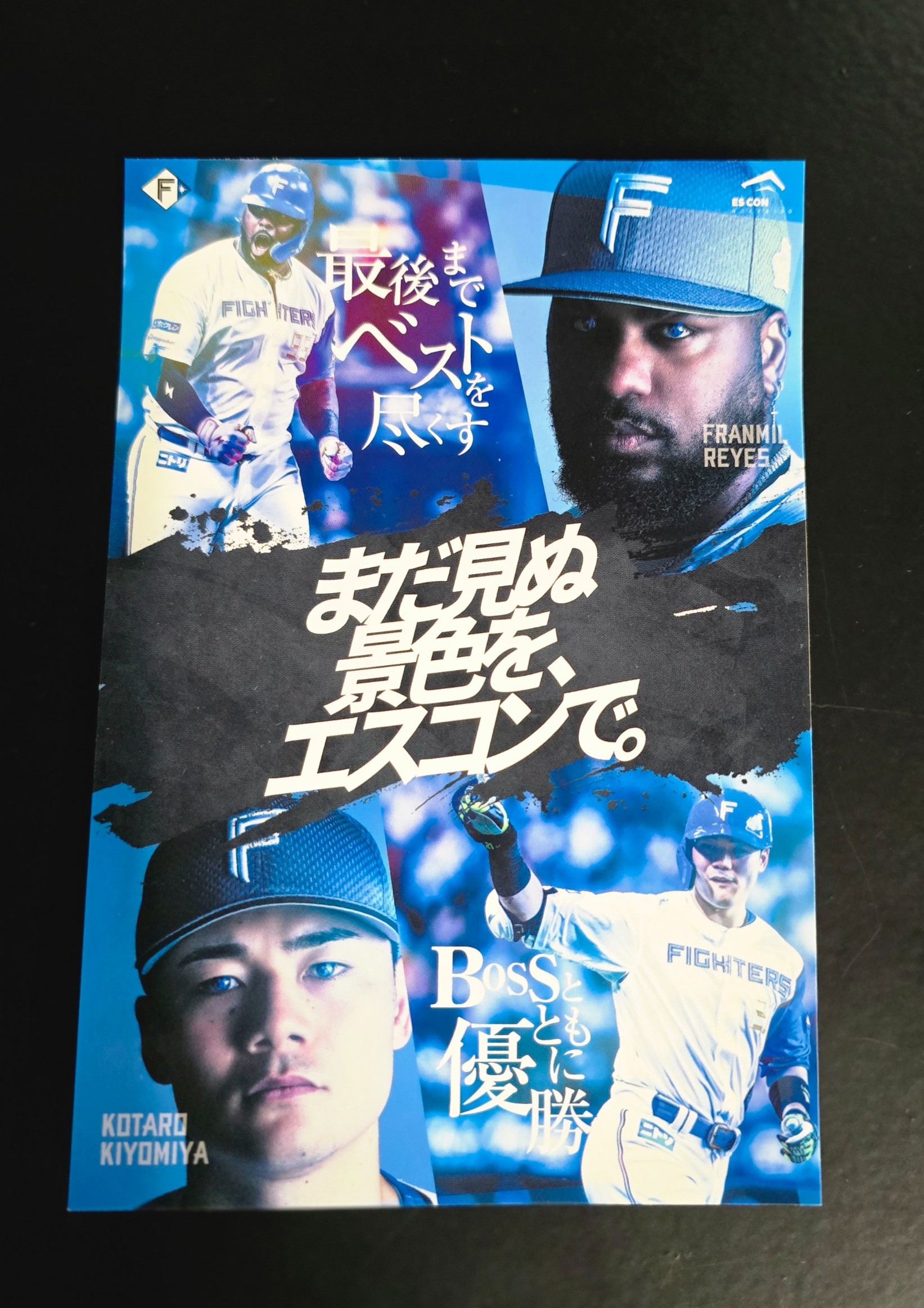 ファイターズ　まだ見ぬ景色をエスコンで　ステッカー13枚コンプリート 日本ハム 「まだ見ぬ景色を、エスコンで。」限定ステッカー13種