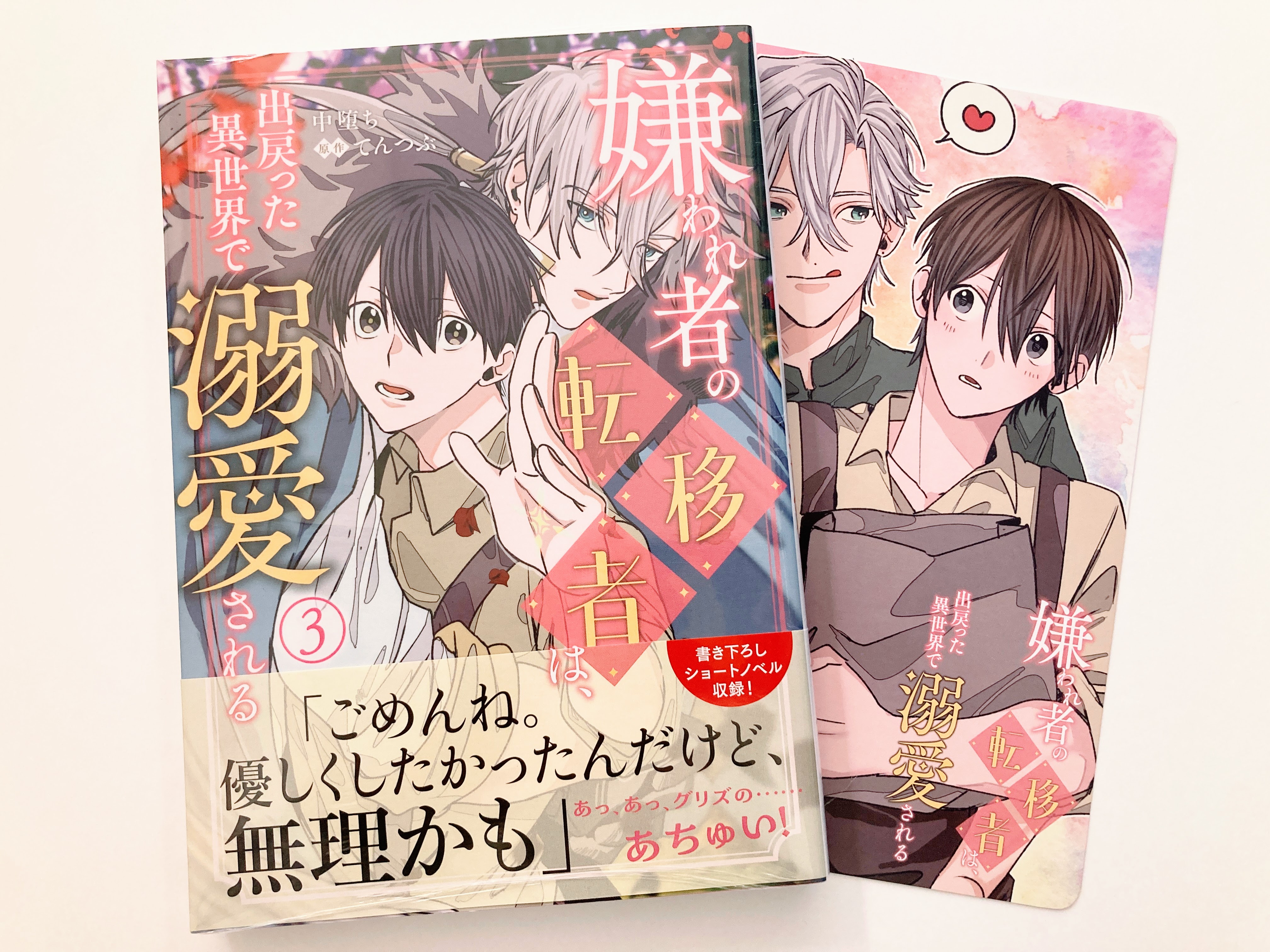 夫を味方にする方法1〜4巻アニメイト特典のみ アニメイト特典付き☆夫を味方にする方法 2の通販 by スキン's
