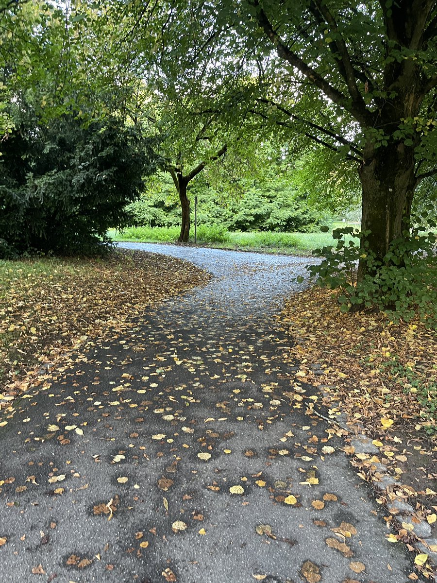 Protonaandy's tweet image. The morning today 
Reminiscent of the days 
When going up was the norm 
Than falling down to the ground …
A gentle fall floating does not hurt though..

Good morning 🌅 

#fall #Autumn #float #GoodMorning