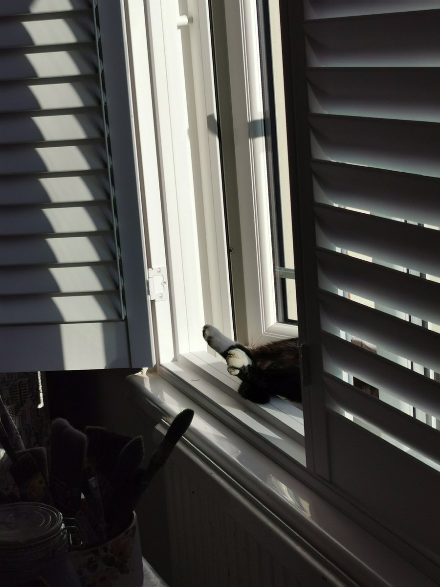 That time when Barry sunbathed in the downstairs window 
To cheer everyone up