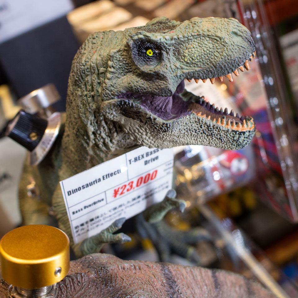 エフェクターコーナーで恐竜を飼育していたのですが、すぐにお客様の元へ旅立ちました🦕

お迎えいただいたお客様、ご検討いただいたお客様に心より御礼申し上げます。

お店ではプライスカードも持ってくれてました！ｶﾜｲｲ~

再入荷は今月末前後の予定です🦖
当店Xをフォローしてお待ちください！