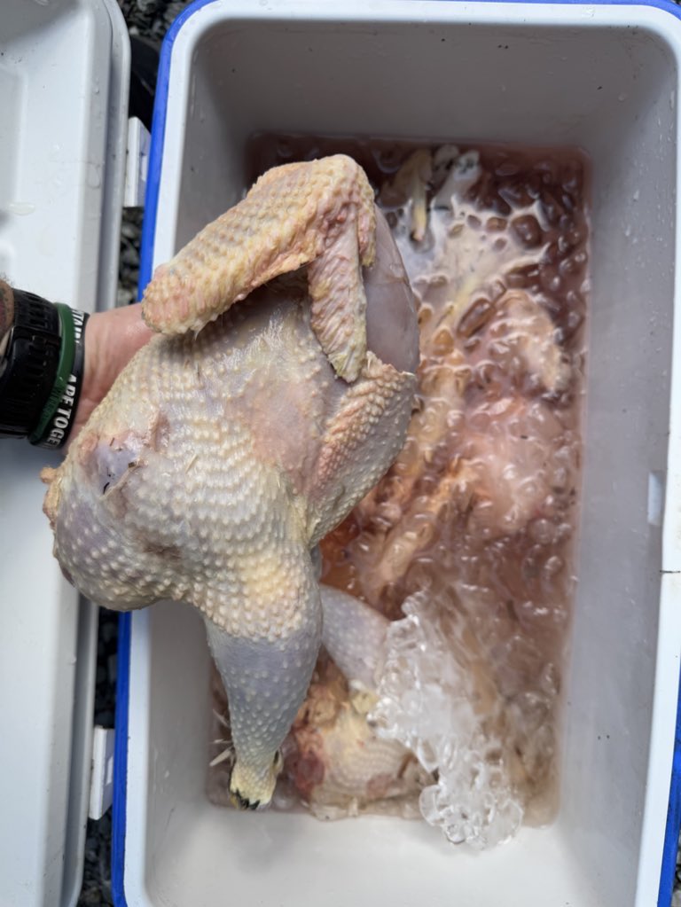 PNWGUERRILLA tweet media