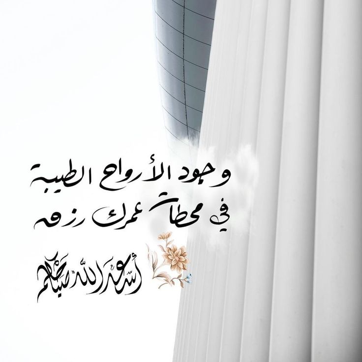 𝔸..𝔸𝕝-𝕄𝕒𝕞𝕒𝕣𝕚 (@almamari871) on Twitter photo 