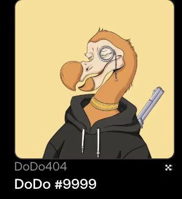 EvaGuan5239's tweet photo. @hongshen6666btc X链第一nft，Dodo404 https://t.co/OFsZC225vh