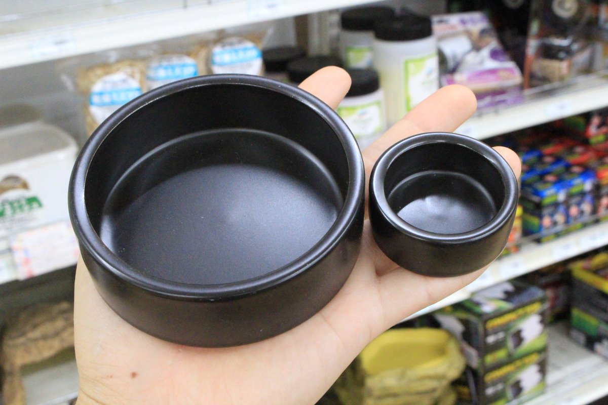ブログ更新しました！
ゲッコーマーケットに持っていく用品の紹介です。ヤモリ飼育に使える物を持っていきますのでぜひお立ち寄りください。
#爬虫類倶楽部
#GeckoMarket 
#ゲッコーマーケット
 blog.livedoor.jp/hachikura_farm…