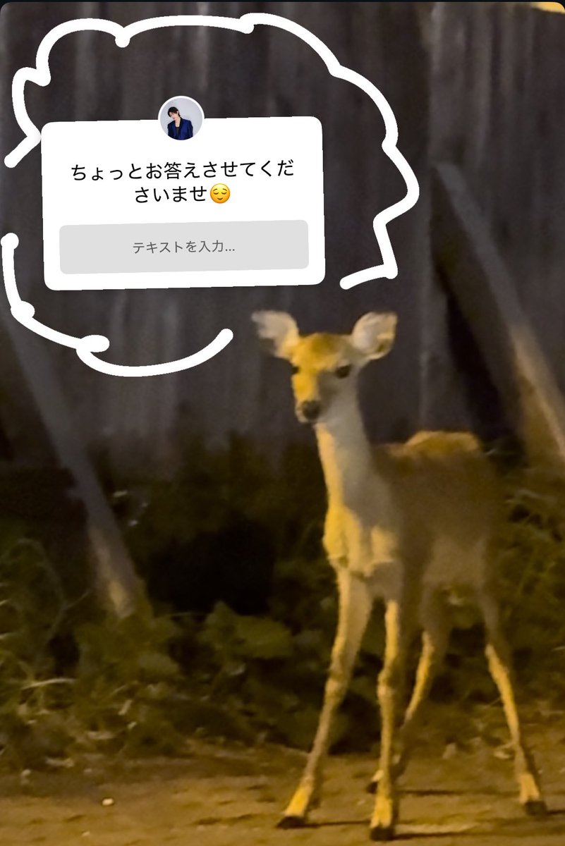 __nk_eo's tweet photo. 本来はこちらが質問させていただいて、あちらは答えてやるよスタンスでいいはずなのに「お答えさせてくださいませ😌」という旅館の女将の接客スタイルな増子敦貴 https://t.co/7MTwJvKTDa