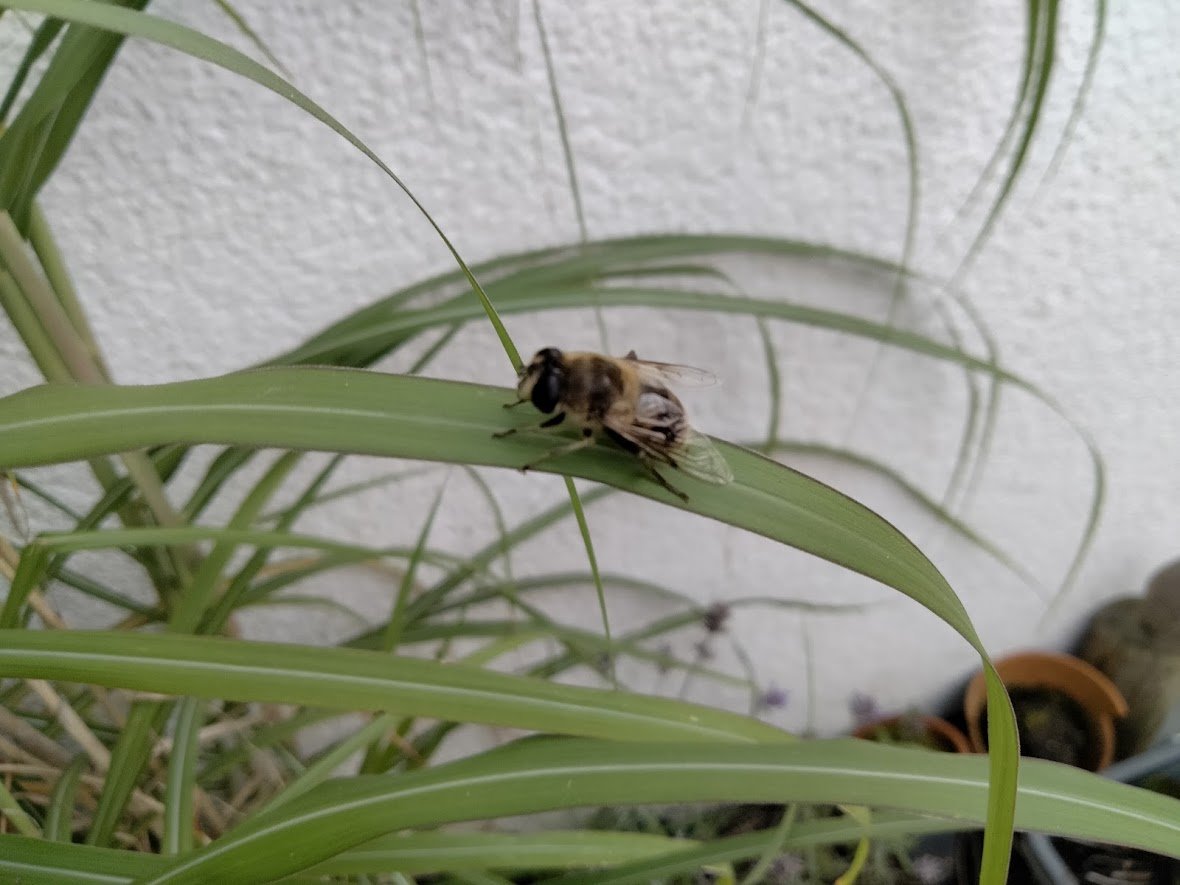 <a href="/Throjaphoto/">Thomas Roja 📸🙏❣️</a> Guten Morgen lieber Thomas, vielen Dank und ich wünsche Dir auch einen schönen Tag