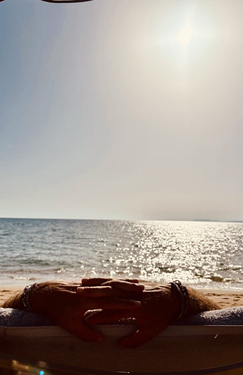 sunflower (@chr90688) on Twitter photo 